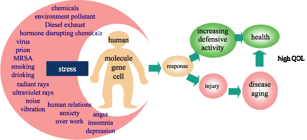 stress Diagram